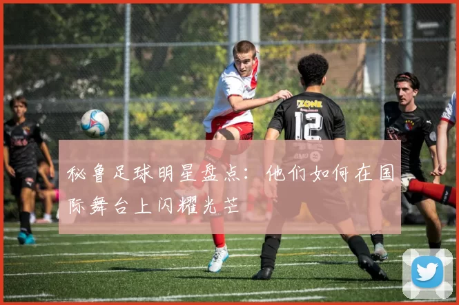 秘鲁足球明星盘点：他们如何在国际舞台上闪耀光芒