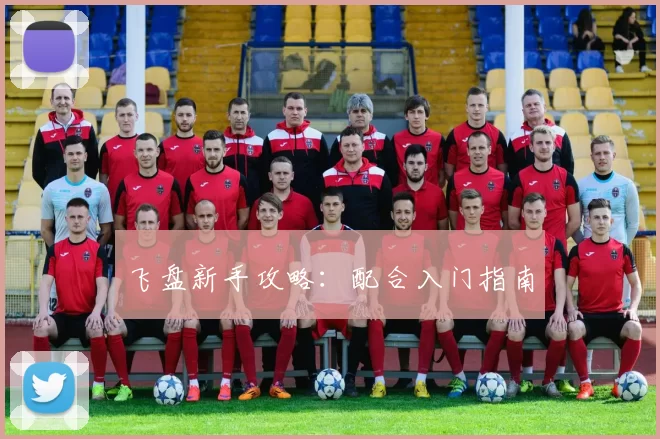 飞盘新手攻略：配合入门指南