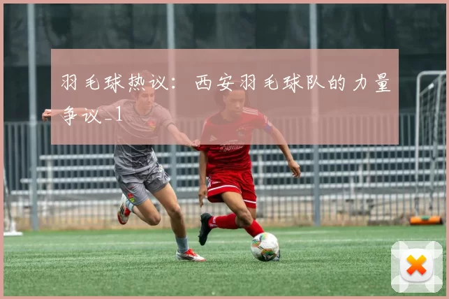 羽毛球热议：西安羽毛球队的力量争议_1