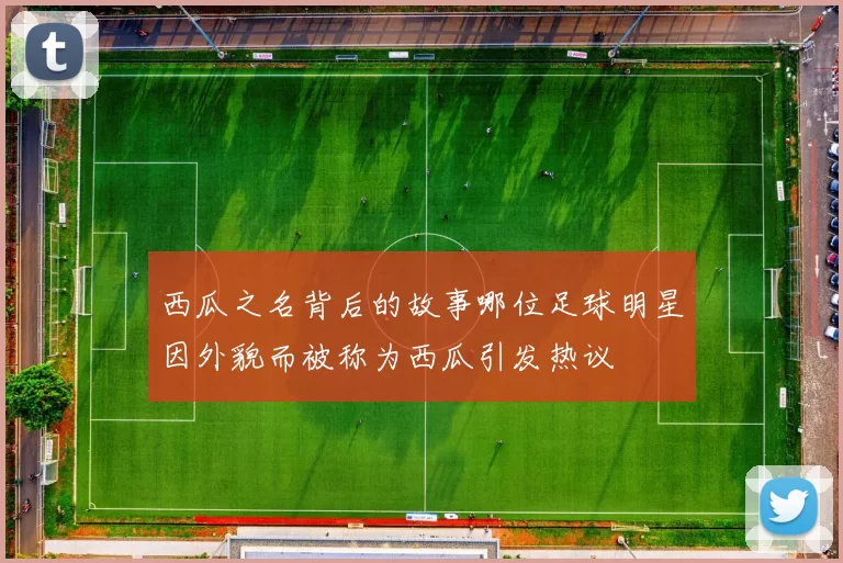 西瓜之名背后的故事哪位足球明星因外貌而被称为西瓜引发热议