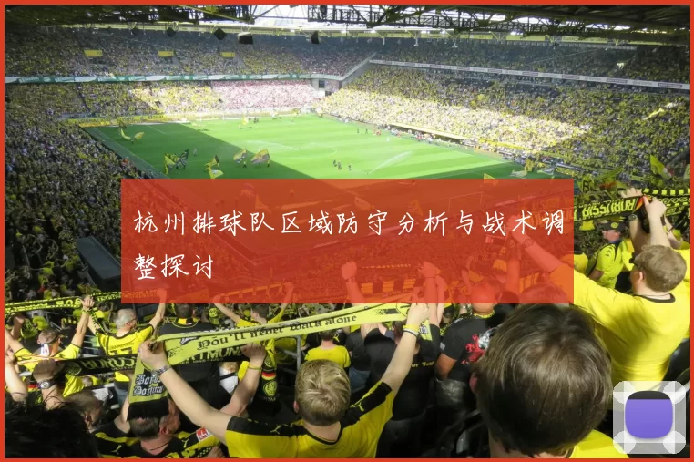 杭州排球队区域防守分析与战术调整探讨